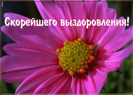 Пожелание скорейшего выздоровления