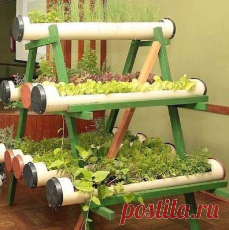 Сад для пряных трав из ПВХ труб