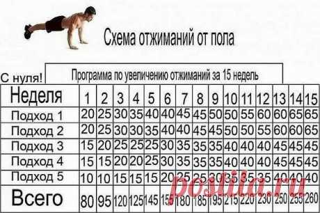 Отжимание. 15 недельная программа по увеличению отжиманий.

Ежедневная схема отжиманий.