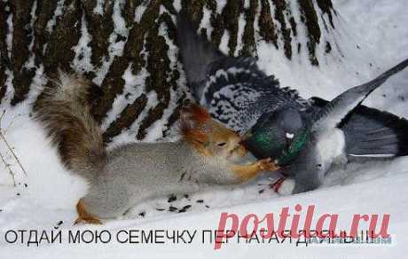 Одноклассники