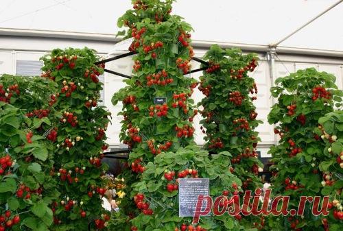 Мастер-классы | Домохозяйка - Part 5