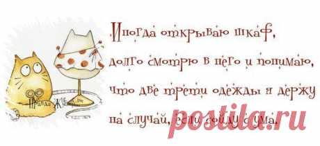 Жизненная правда в картинках | ОПТИМИСТ