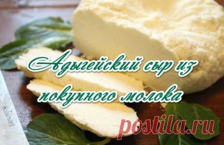 Адыгейский сыр из покупного молока.Пошаговый (видеорецепт)