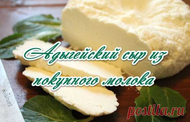 Адыгейский сыр из покупного молока.Пошаговый (видеорецепт)
