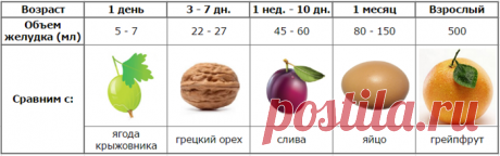 Как уменьшить объем желудка: Проверенные способы