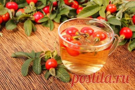 Уникальная ягода шиповник - Perchinka63