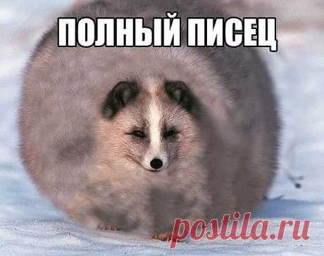 КАКОЙ СЕГОДНЯ ПРАЗДНИК? 25 Февраля 2018 г. – Суббота • День открытия спирта • День рождения револьвера181 год • День составления географических карт несуществующих земель • День памяти святителя Алексия, митрополита Московского • Национальный день - Кувейт • Именины у Алексия, Антония, Евгения, Марии, Мелетия