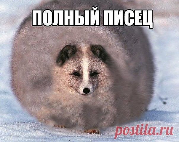 КАКОЙ СЕГОДНЯ ПРАЗДНИК? 25 Февраля 2018 г. – Суббота • День открытия спирта • День рождения револьвера181 год • День составления географических карт несуществующих земель • День памяти святителя Алексия, митрополита Московского • Национальный день - Кувейт • Именины у Алексия, Антония, Евгения, Марии, Мелетия