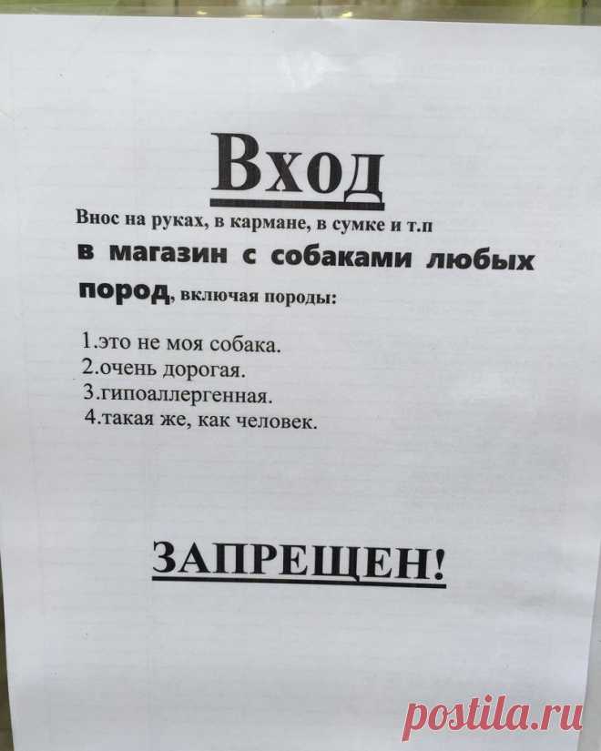 20 смешных объявлений, которые могли написать только в России