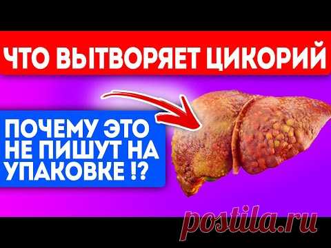 Всю жизнь лечусь цикорием! Смотрите, что творит несколько глотков