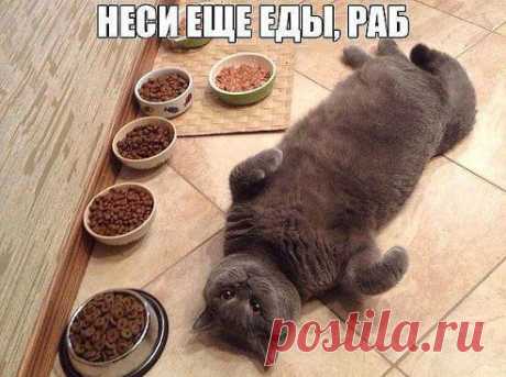 И это все мне
