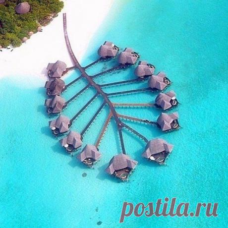 Отель на Мальдивах. / Экстремальный досуг