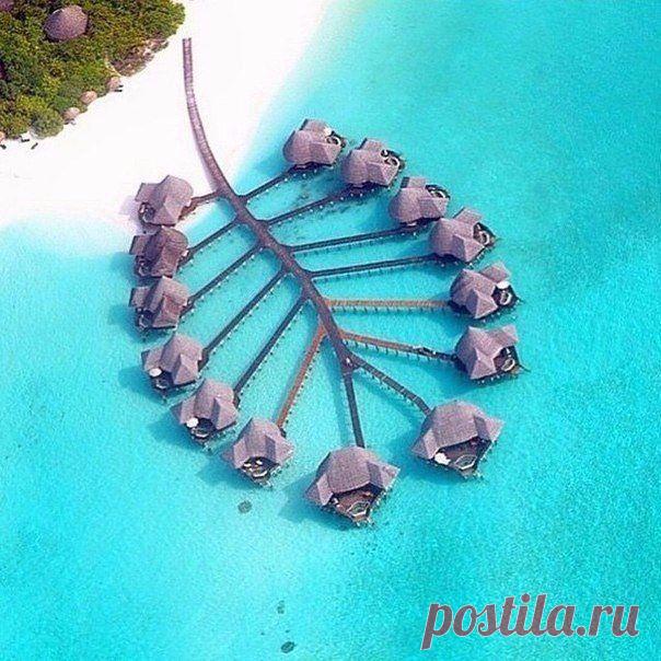 Отель на Мальдивах. / Экстремальный досуг