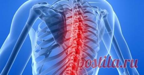 Эти упражнения избавят вас от болей в спине навсегда • Сияние Жизни