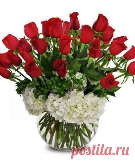 wasfee: В жизни я слышал многое — клятвы, обещания, комплименты, но лучшее, что я слышал — тишина. В ней нет лжи.