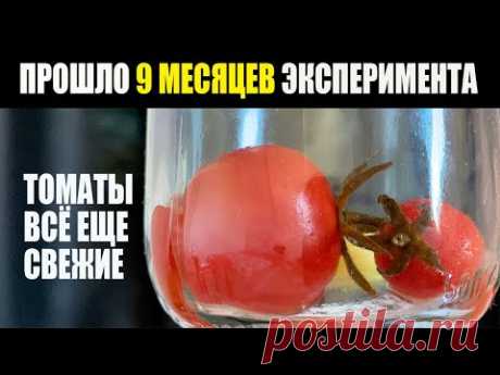 Удивительно! 9 месяцев, а помидоры СВЕЖИЕ в банках