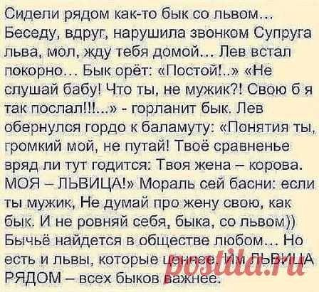 (33) Одноклассники