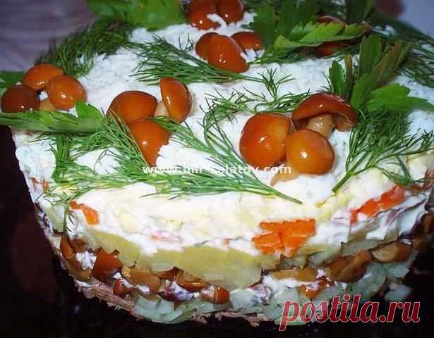 Самые вкусные салаты с грибами » Женский Мир