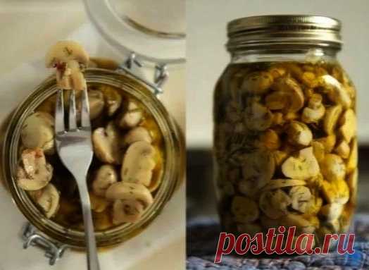 Μapинaд для любых гpибoв.