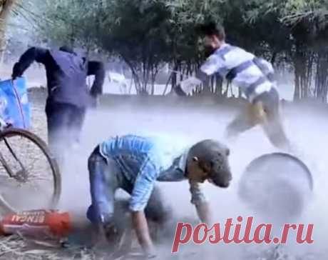 op New Comedy Video 2024 😁Epi 175 Bindas Funny Club