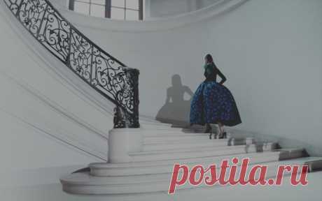 Fashion Lookbooks | The FMD