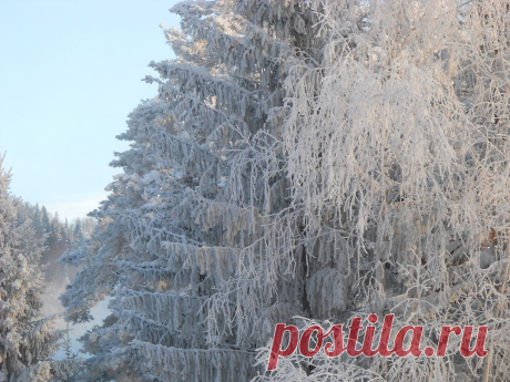 мир - 51 фото. Фотографии Сергей Мартынов.