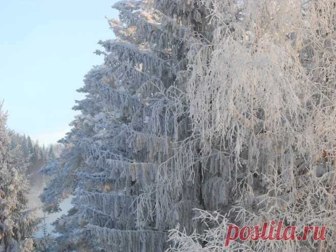 мир - 51 фото. Фотографии Сергей Мартынов.