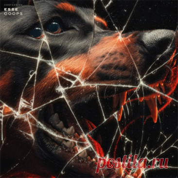 ESSE (US) - Ooops | 4DJsonline.com