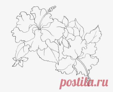Эскизы Витражей Схемы - Flower Pattern Transparent PNG - 699x612 - Free Download on NicePNG