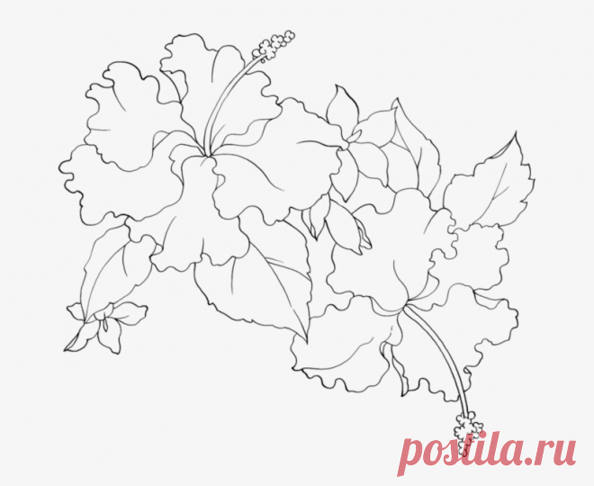 Эскизы Витражей Схемы - Flower Pattern Transparent PNG - 699x612 - Free Download on NicePNG