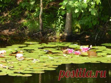 «База &quot;Хозяйство Доброе&quot;