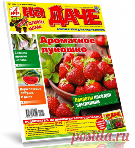Читать журнал Газета: АиФ. На даче №7 (2021) бесплатно