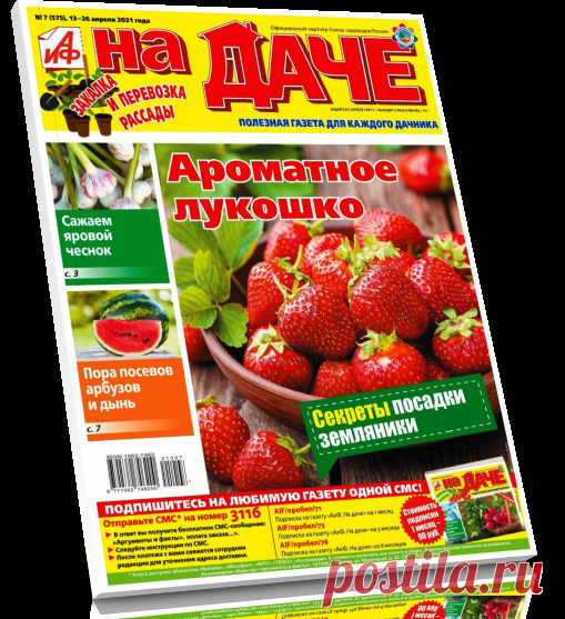 Читать журнал Газета: АиФ. На даче №7 (2021) бесплатно