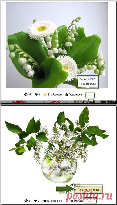 КАК СОХРАНИТЬ ИЗОБРАЖЕНИЕ С АЛЬБОМОВ НА ЯНДЕКС ФОТКАХ.