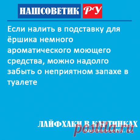 Ёршик для туалета. Как сделать, чтобы он не был причиной неприятного запаха? 
#полезныесоветы #лайфхаки