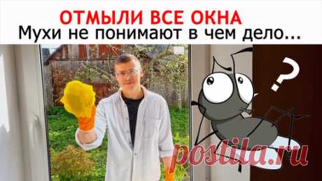 LOVISOVET | СТЕКЛА В ОКНАХ стали «НЕВИДИМЫМИ». Моем окна и подоконники от «А до Я» ПРОСТЕЙШИМИ способами
