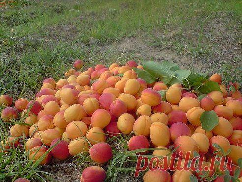 Любишь значить ставишь класс ))))