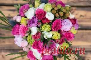 (27) Одноклассники