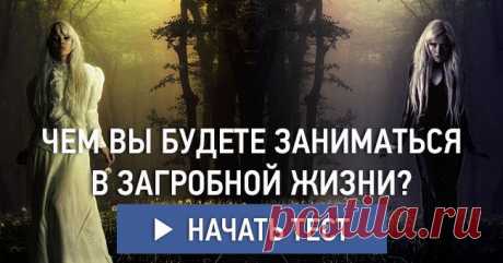 Чем вы будете заниматься в загробной жизни?