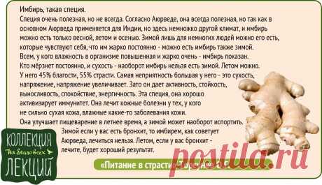 Имбирь