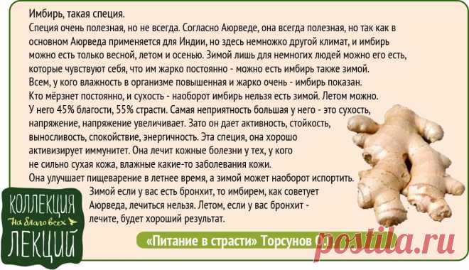 Имбирь