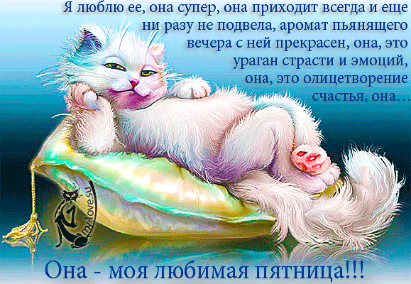 7f54dc20-f3fd-eeff-1ec6-ab68b4262b45.gif (579×400)