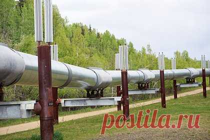 Трамп отменил запрет Байдена на освоение нефтяного резерва Аляски