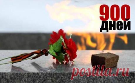 (14) Facebook 71 годовщина освобождения Ленинграда от фашистов!