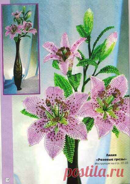 (36) Одноклассники