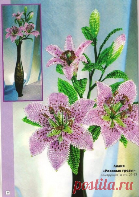 (36) Одноклассники