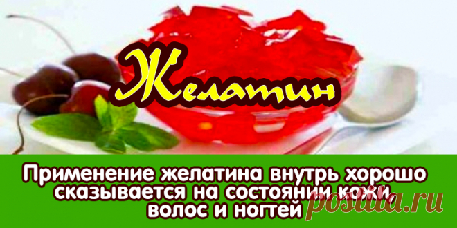 Желатин | Полезные советы
