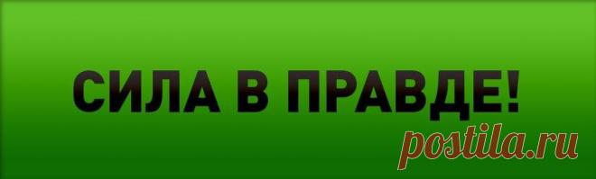 Без комментария