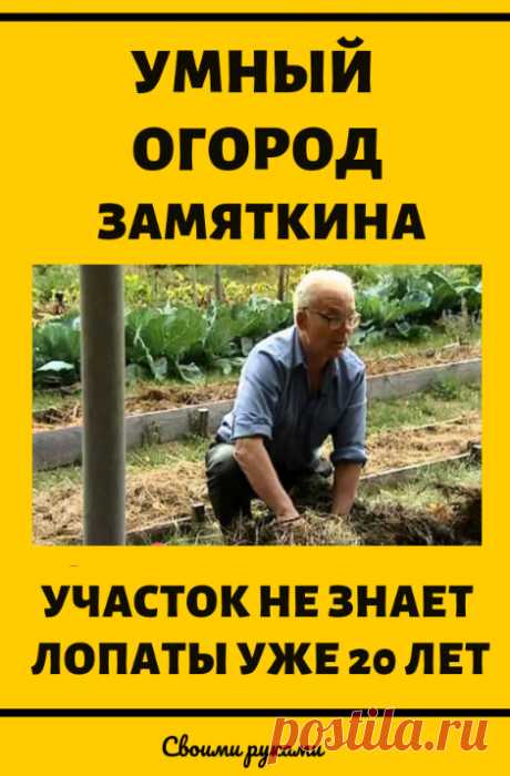 Умная дача Замяткина своими руками: участок не знает лопаты уже 20 лет