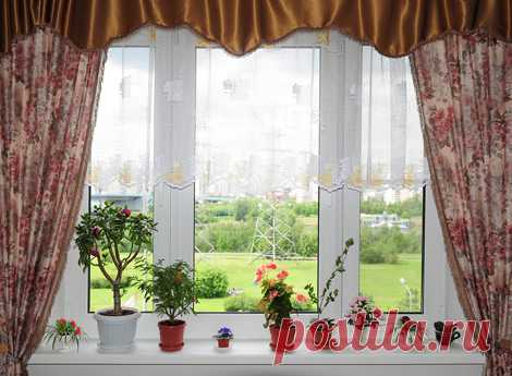 КАК РАСТЕНИЯ НАС ОХРАНЯЮТ....